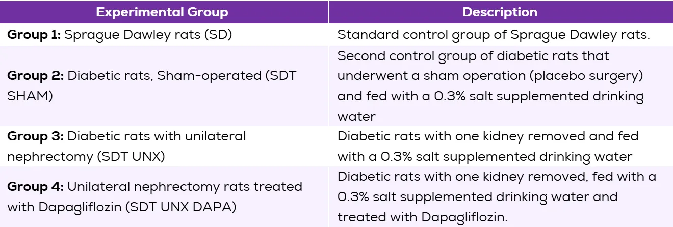 Table describing the four experimental groups in an experiment to assess the effectiveness of Dapagliflozin in diabetic animal models through automated kidney pathology analysis: Sprague Dawley rats (SD), Diabetic rats, Sham-operated (SDT SHAM), Diabetic rats with unilateral nephrectomy (SDT UNX), and Unilateral nephrectomy rats treated with Dapagliflozin (SDT UNX DAPA).