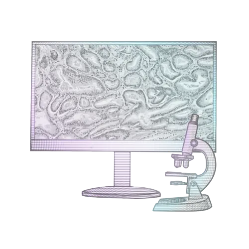 Start-up Aiosyn ontwikkelt AI-innovaties voor de patholoog
