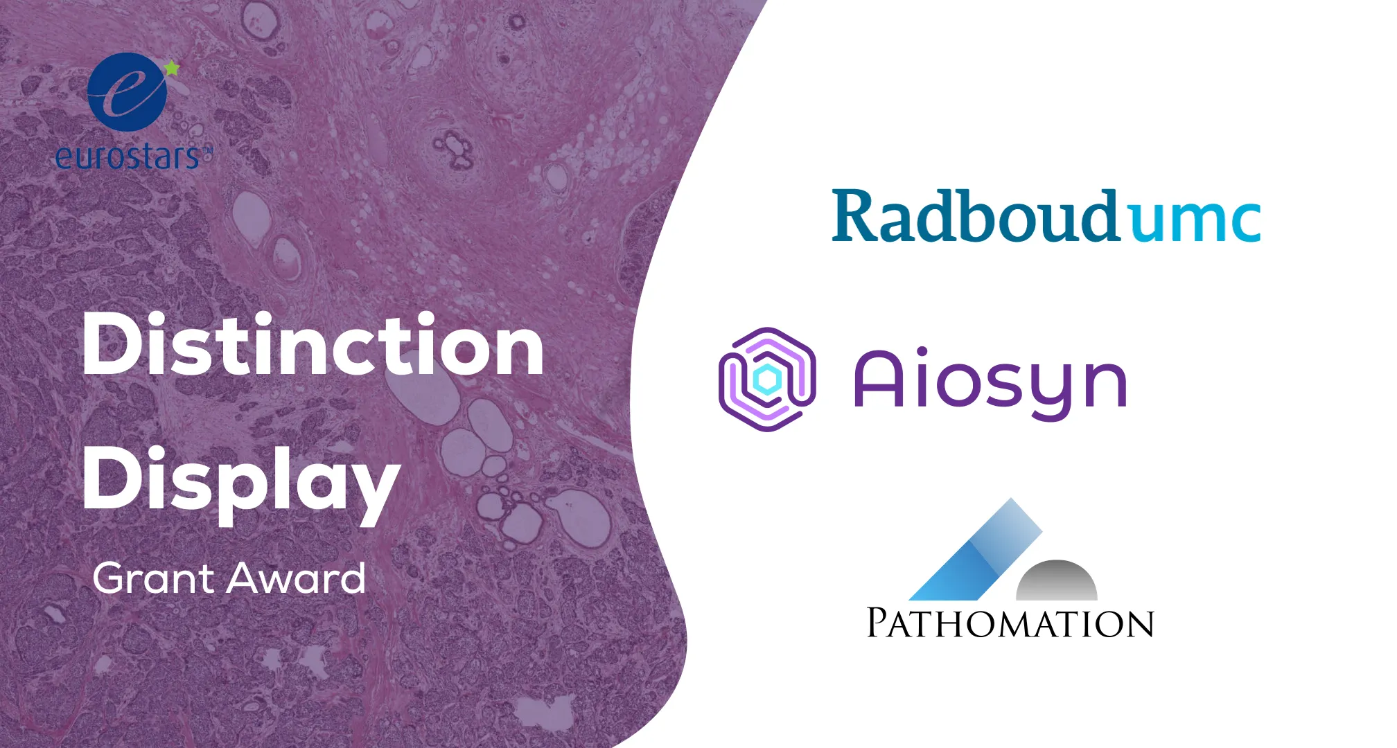 Aiosyn, Pathomation, and Radboud university medical center are awarded 1,6M € Eurostars grant to develop AI-powered solutions for renal diagnostics