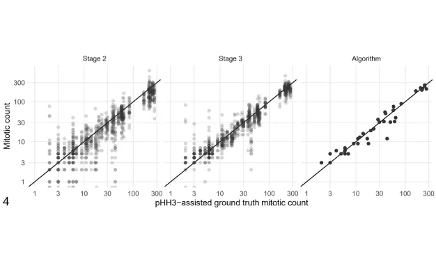 The benefits of AI implementation in mitotic figure counting