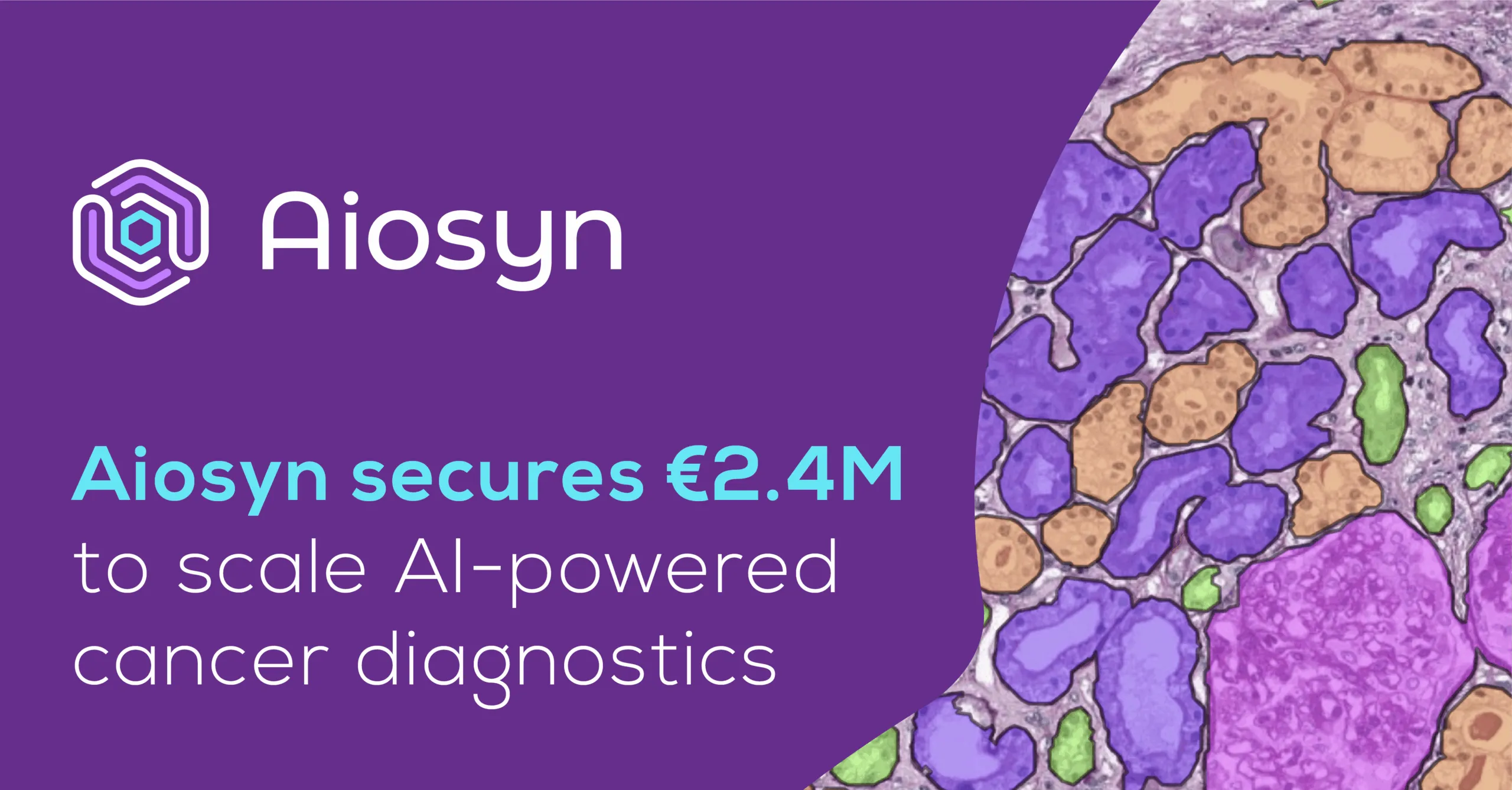 Dutch Aiosyn secures 2.4M funding to scale AI-powered cancer diagnostics