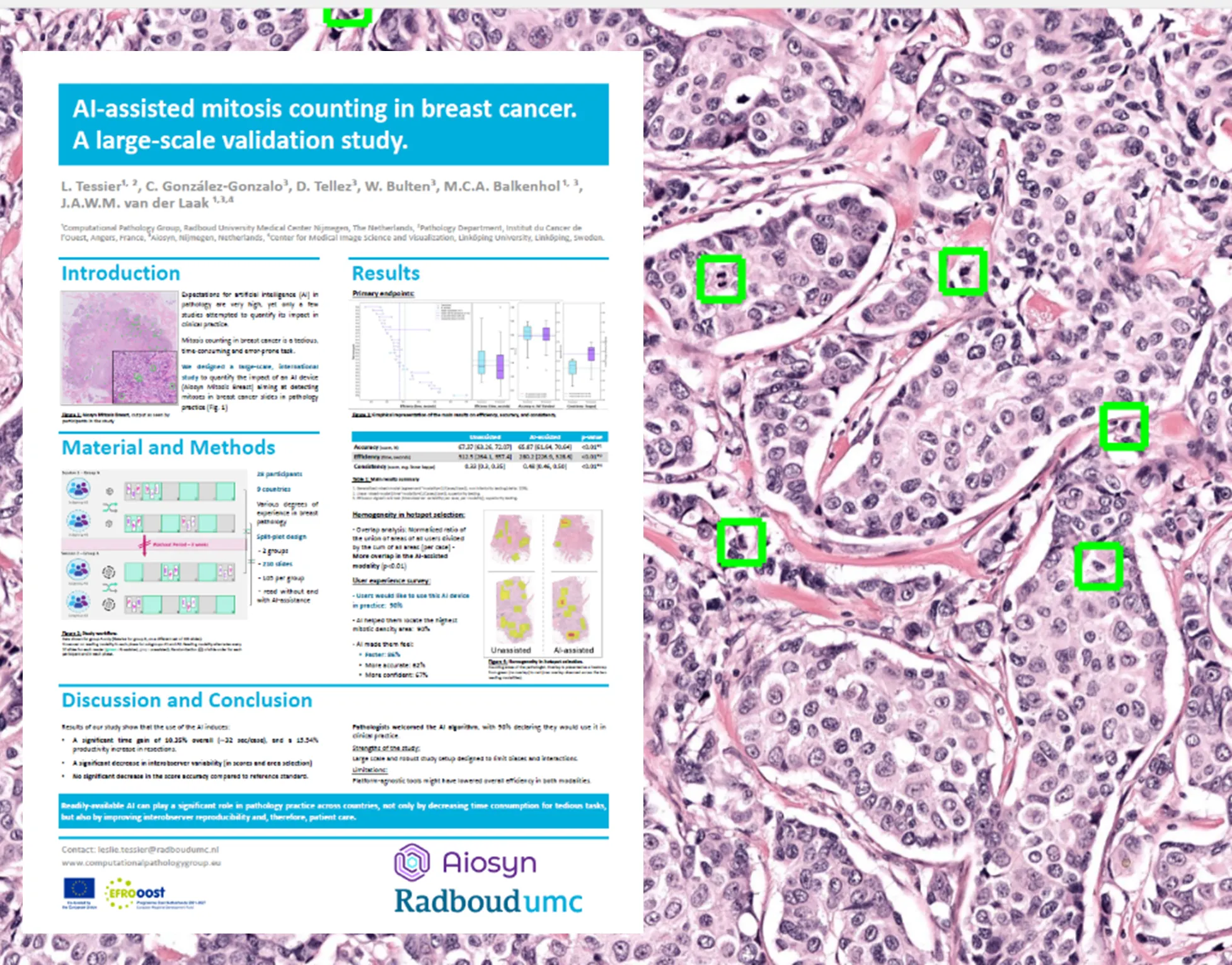 AI-assisted mitosis counting in breast cancer. A large-scale validation study.