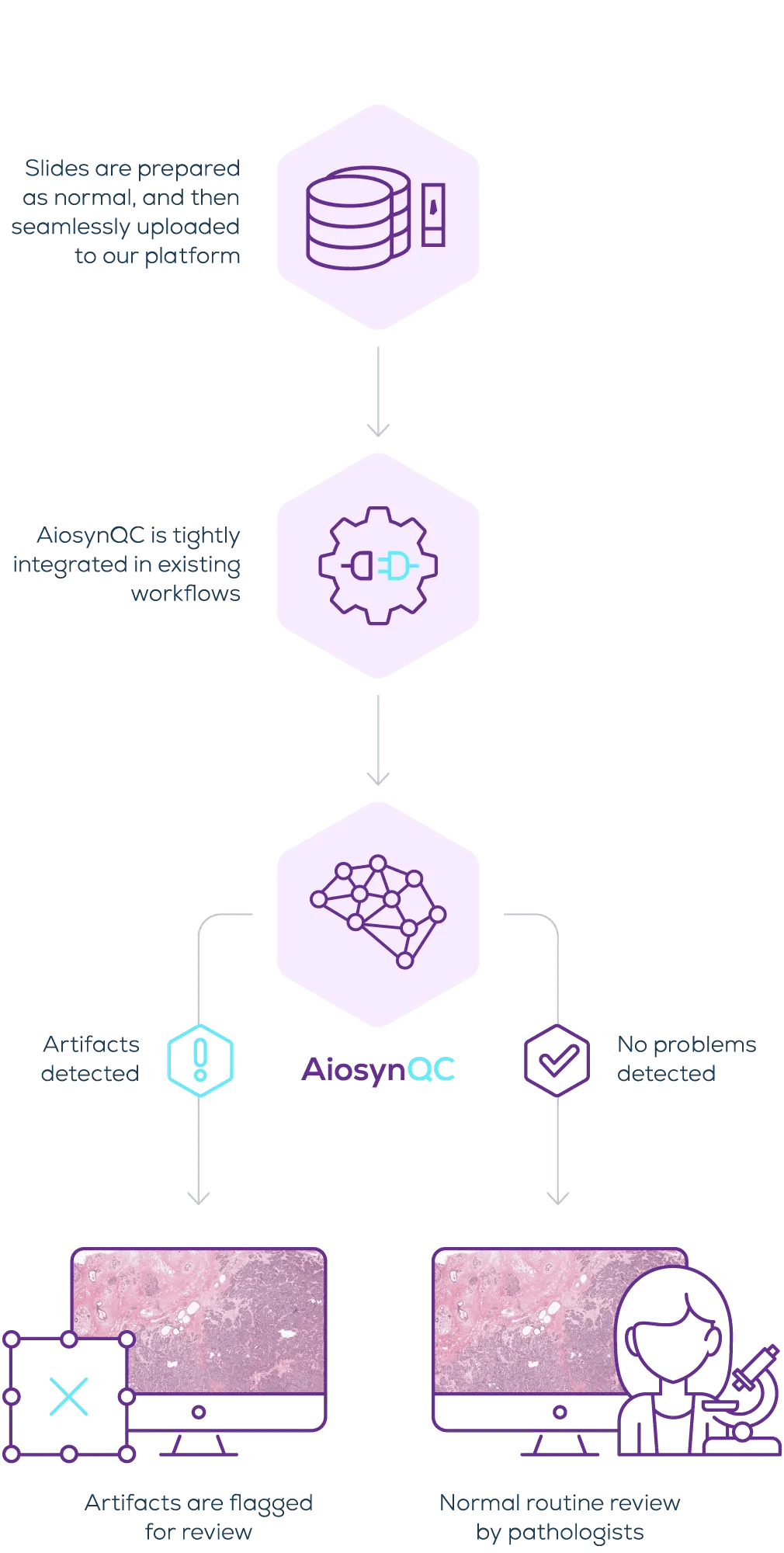 The AiosynQC step-by-step flow: slides are prepared as normal and uploaded, AiosynQC is integrated in the existing workflow, and the algorithm analyzes each image. Where no problems are detected the slide goes to normal routine review by a pathologist; where artifacts are detected the slide is flagged for review.