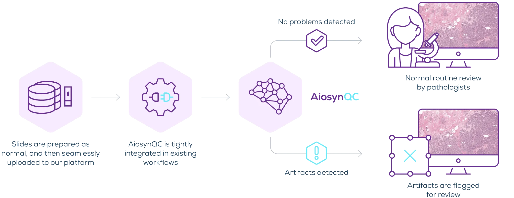 The AiosynQC step-by-step flow: slides are prepared as normal and uploaded, AiosynQC is integrated in the existing workflow, and the algorithm analyzes each image. Where no problems are detected the slide goes to normal routine review by a pathologist; where artifacts are detected the slide is flagged for review.