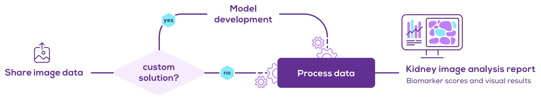 Step-by-step project workflow of Aiosyn's AI kidney pathology services through the NephroPath platform, from data-sharing to the delivery of a kidney image analysis report.
