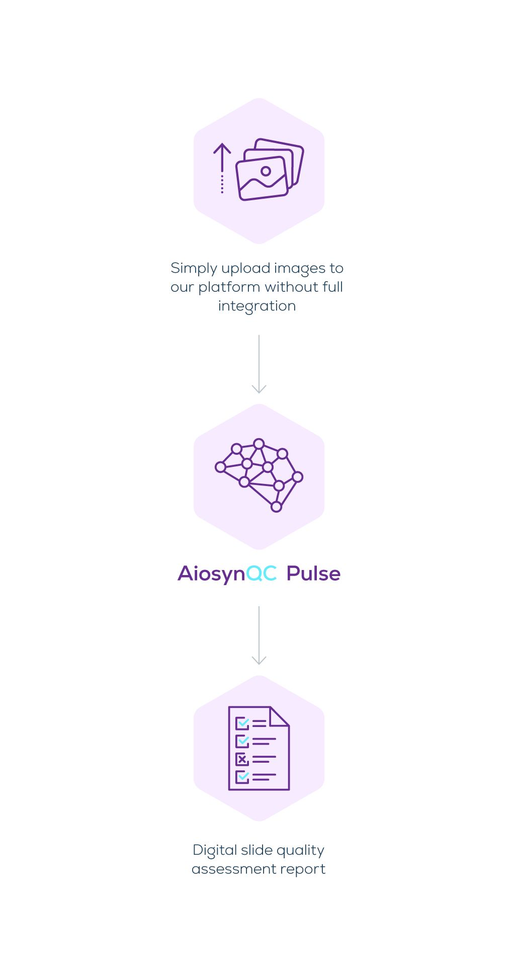 AiosynQC Pulse: External Digital Slide Quality Assessments